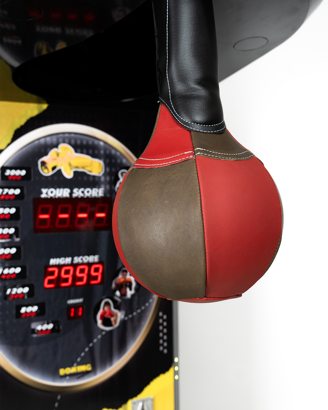 Junior Boxer V1